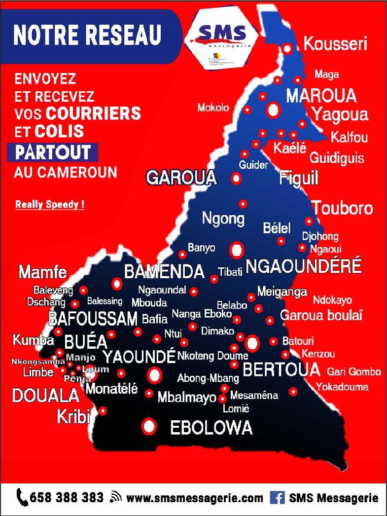 Carte du réseau SMS au Cameroun